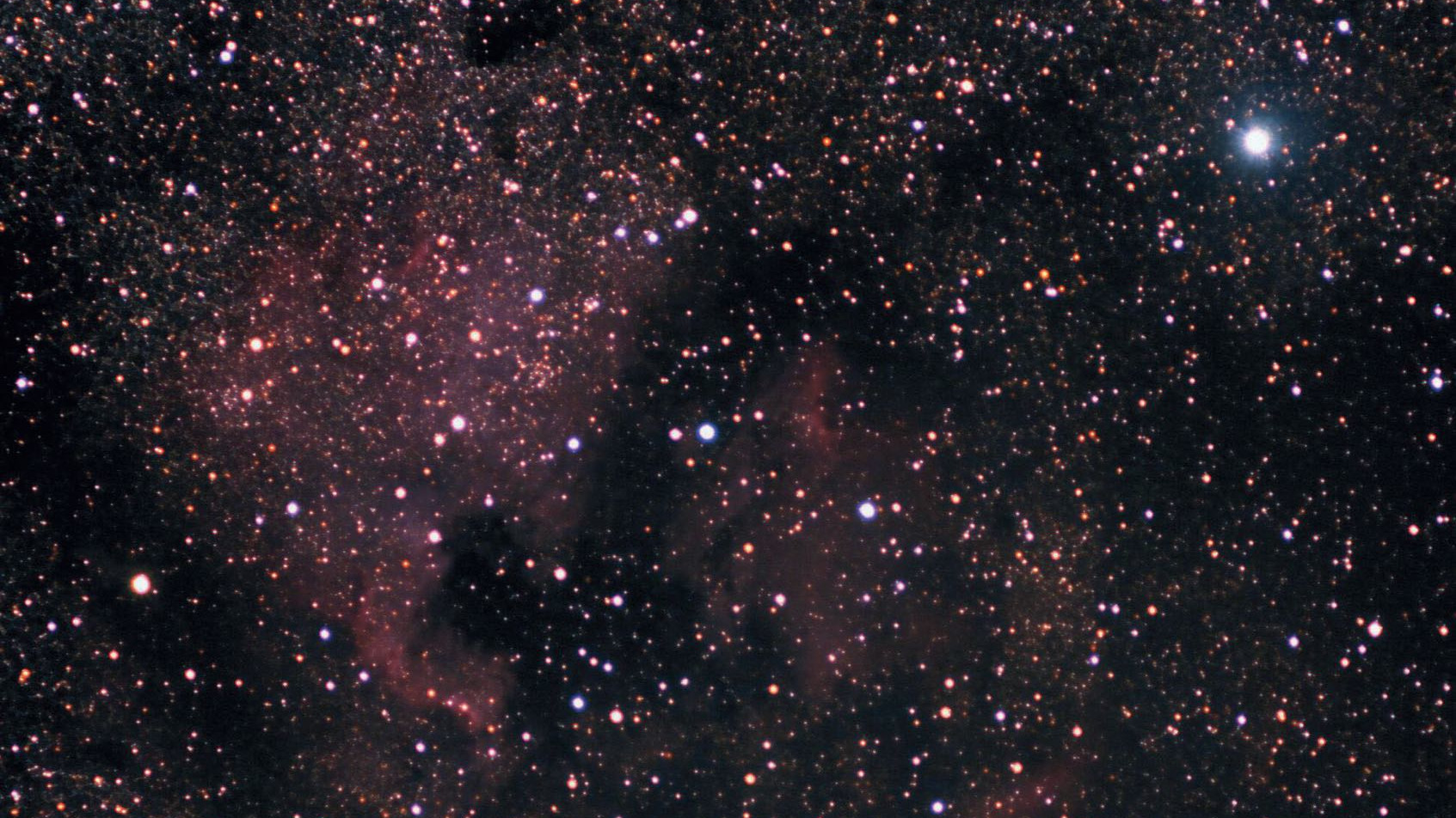 Na południowy wschód od Deneba (jasna gwiazda u góry po prawej) leży jedna z najpiękniejszych mgławic gazowych Ameryka Północna, NGC 7000. Mini Orion widoczny jest na lewo od środka kadru, lub na zachód od Zatoki Meksykańskiej. Marcus Degenkolbe