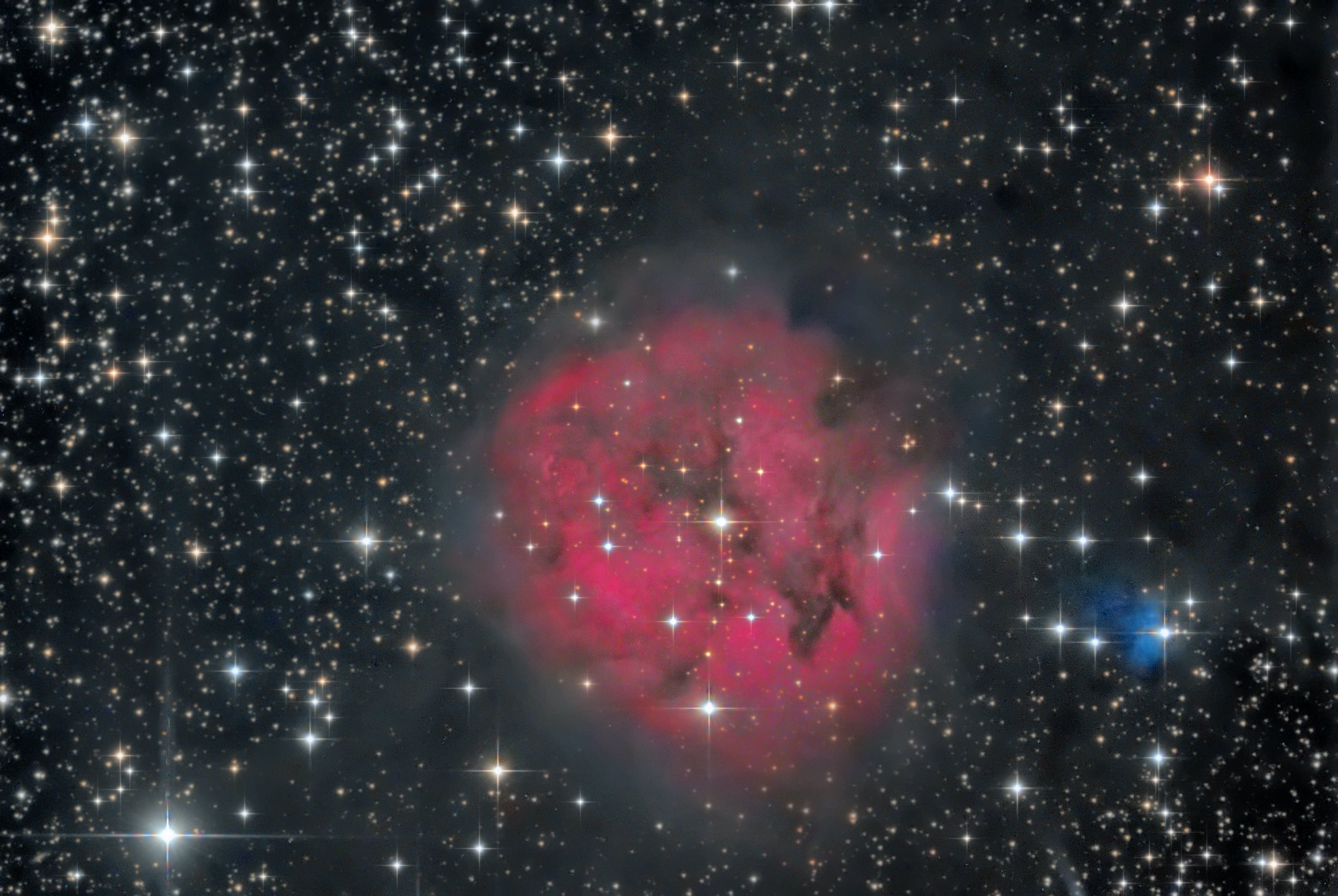 Mgławica Kokon, IC 5146, Fot. Carlos Malagón
