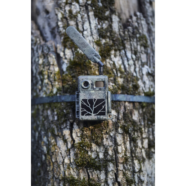 ZEISS Kamera do obserwacji dzikich zwierząt Set Secacam 7 & Metallgehäuse & Solarpanel